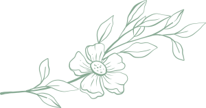 Grafik - Stängel mit Blättern und Blüte, grün